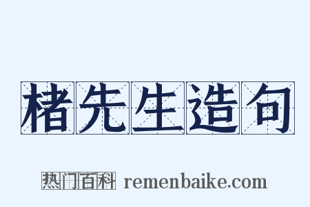 楮先生造句是什么意思的图片